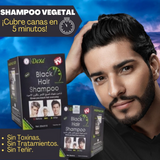 Shampoo Cubre Canas Tinte Negro Caja 25ml X10 Sobres