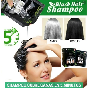 Shampoo Cubre Canas Tinte Negro Caja 25ml X10 Sobres